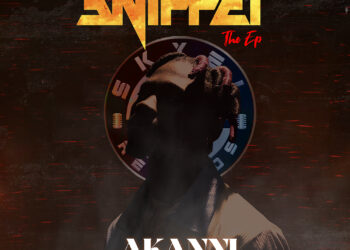 snippet2 074652