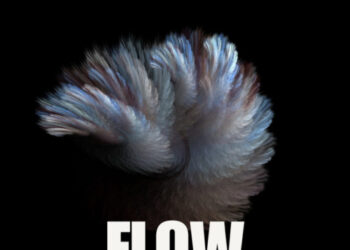 Drumetic Boyz – Flow