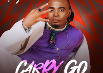 Pryme Carry Go Artwork