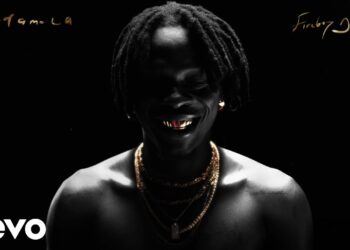 fireboy dml wandes bop official