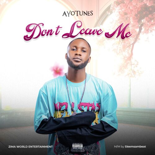 AyoTunes - Don't Leave Me (prod. by Sleemsambeat) 1 IMG 20240825 WA0004