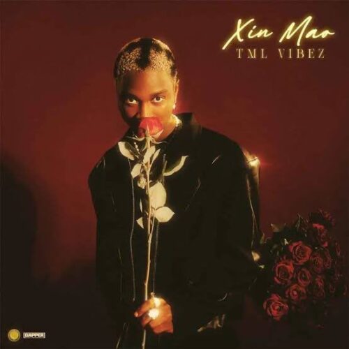 TML Vibez’s Xin Mao EP Spends 10 Weeks in NG Apple Top 10 1 TML Vibez - Xin Mao EP