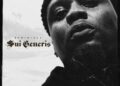 Reminisce - Sui Generis