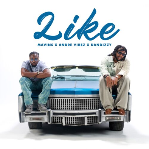 Mavin, Andre Vibez & Dandizzy - Like
