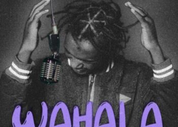Wahala mp3 image