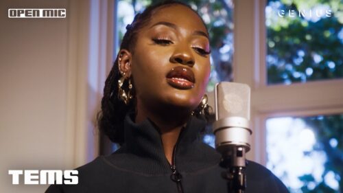 Tems' Powerful Performance of Born In The Wild Captivates the Grammy Museum 1 Tems