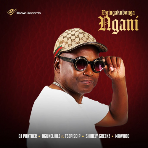 DJ Panther & Ngunelihle - Ngingakubonga Ngani ft. Tsepiso P, Shinely Greenz & Mawhoo