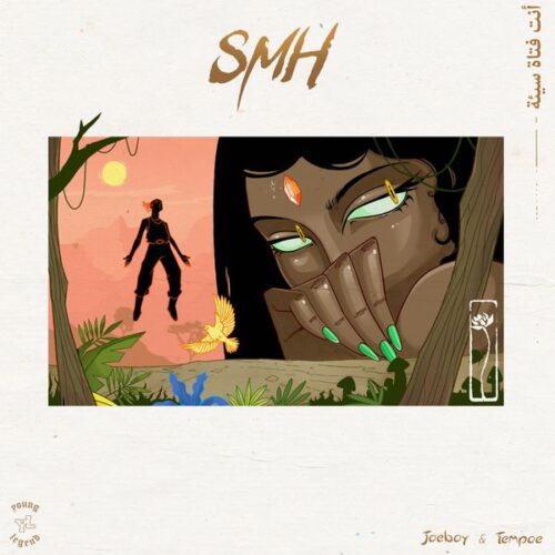 Joeboy & Tempoe - SMH (Original)