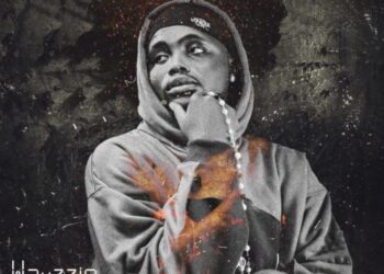 siinzu wayzzie 20250201 0001