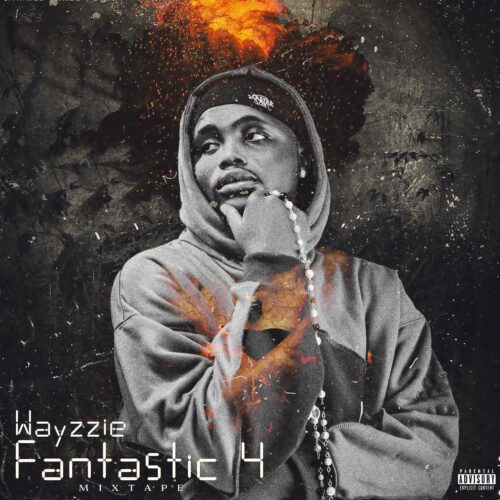 siinzu wayzzie 20250201 0001