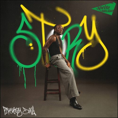 Fireboy DML & Take A Daytrip - Story
