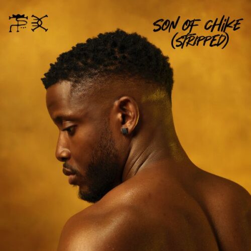 Lifetime Love (Stripped) Lyrics – Chike