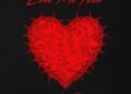 Cover art for Love Me Now by Mr Eazi
