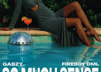 Gabzy & Fireboy DML - So Much Sense