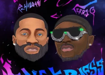 Ric Hassani ft. Terry G – Wickedness