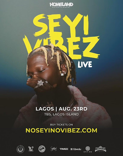 Seyi Vibez Dwell in Lagos