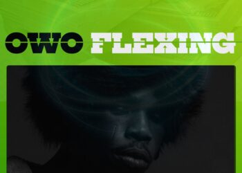 Owo Flexing Song Cover by Hdot
