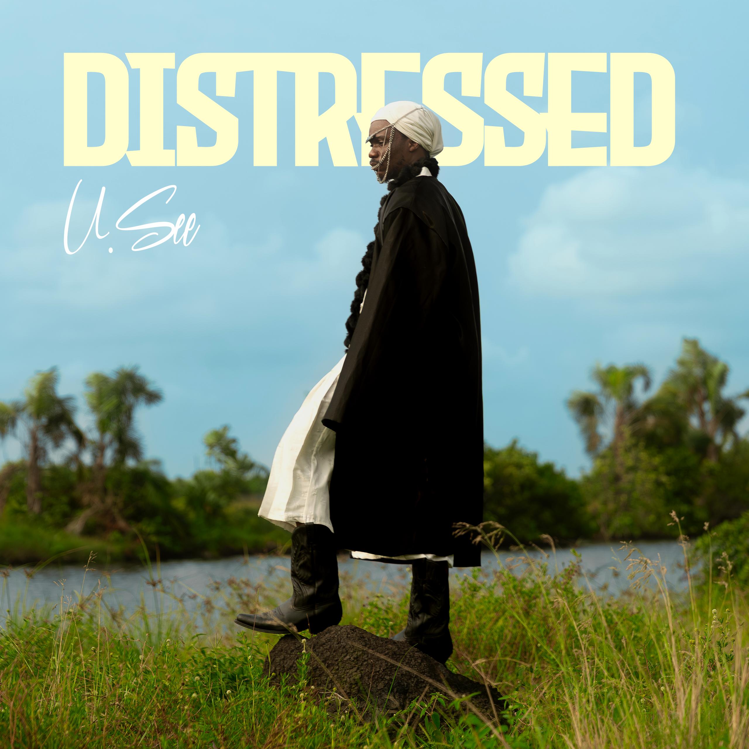 U.see distressed artwork