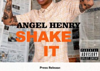 Angel Henry shake It art work