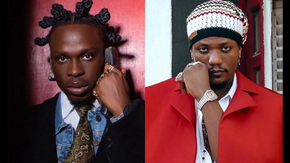 MUSIC VIDEO: Fireboy DML & Pheelz – Shake