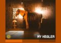 Seyi Vibez & Omah Lay - MY HEALER