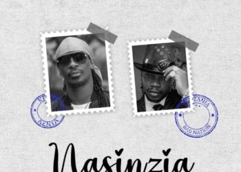 NamelessMarioo–Nasinzia II