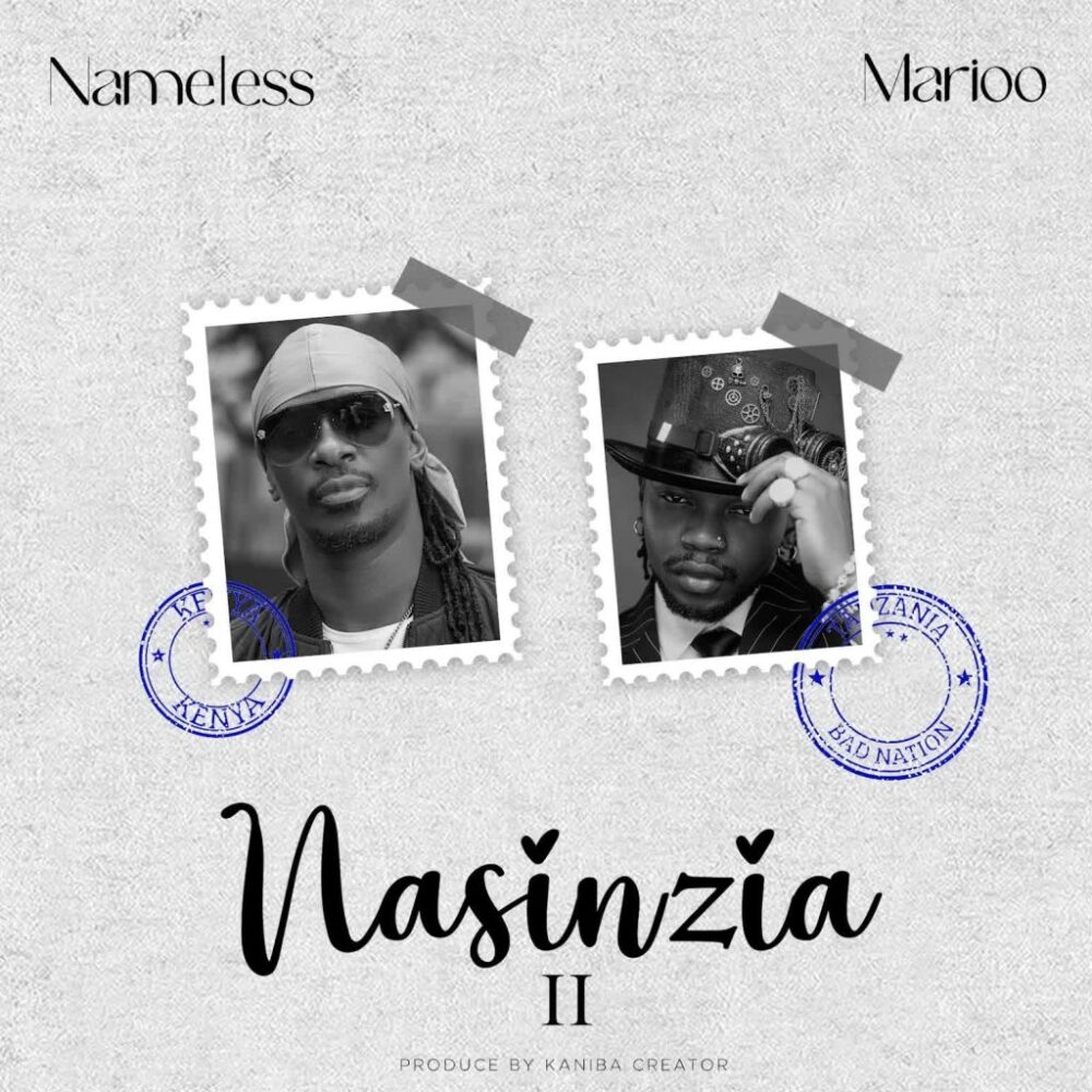 NamelessMarioo–Nasinzia II