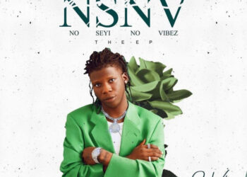 Seyi Vibez - No Seyi No Vibez EP