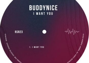 Buddynice – I Want You