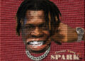 Ceezay Yung Ignites a New Chapter with eLXR Music and “Spark” 8 2