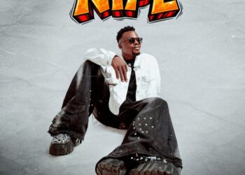 sheway tango4 nipe